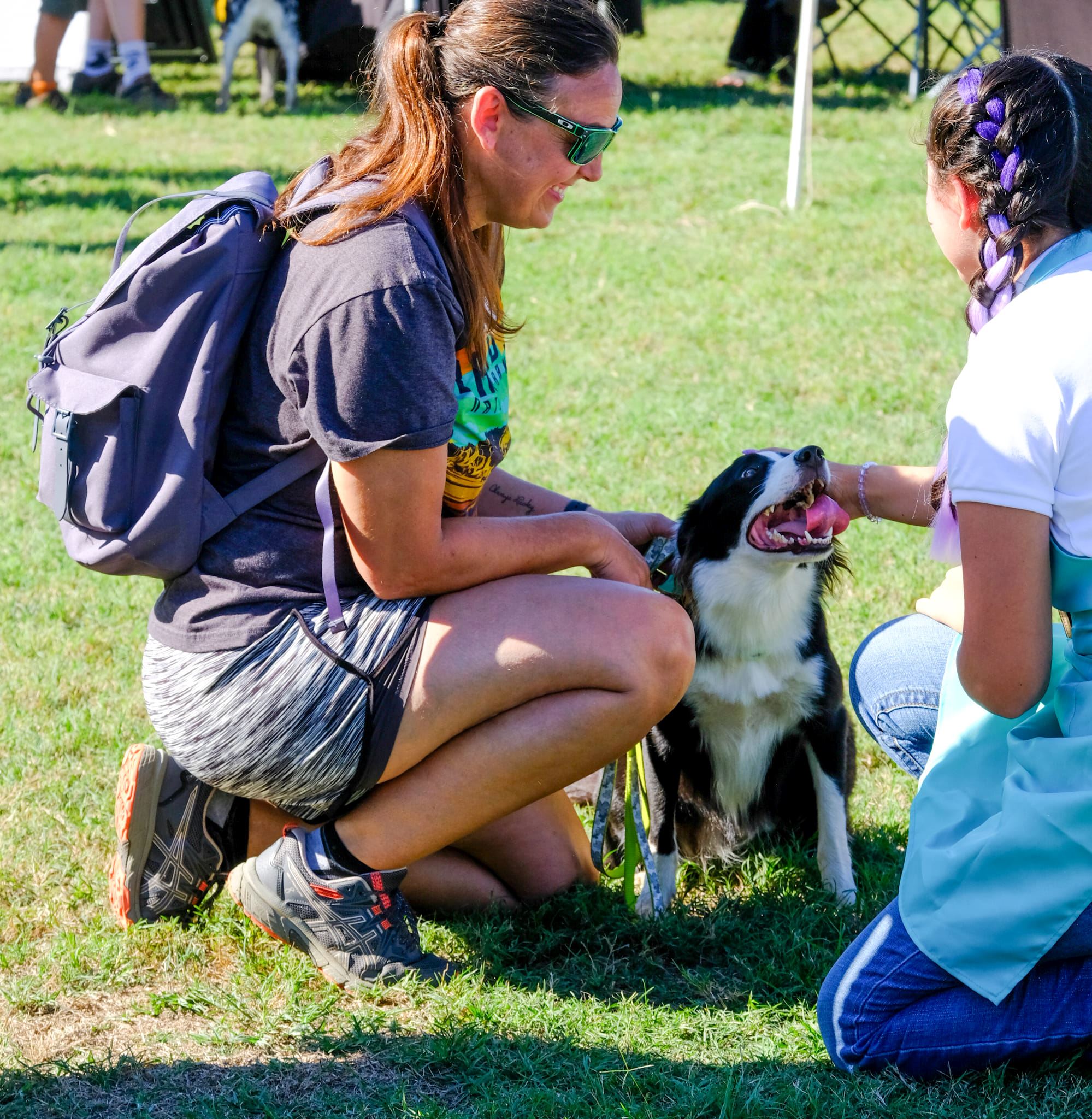 ProAM Pooches in action 