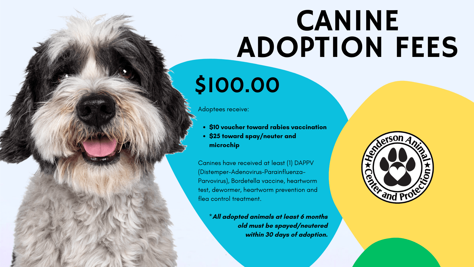 Canine Adoption Fees