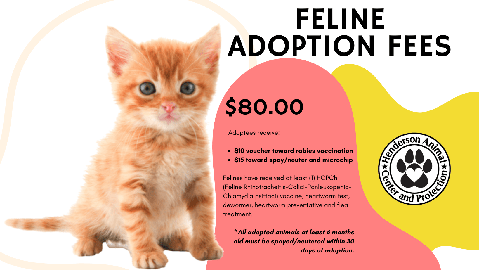 Feline Adoption Fees