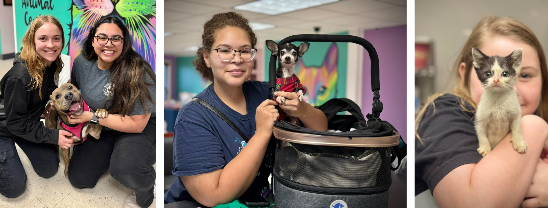 Untitled design (50)