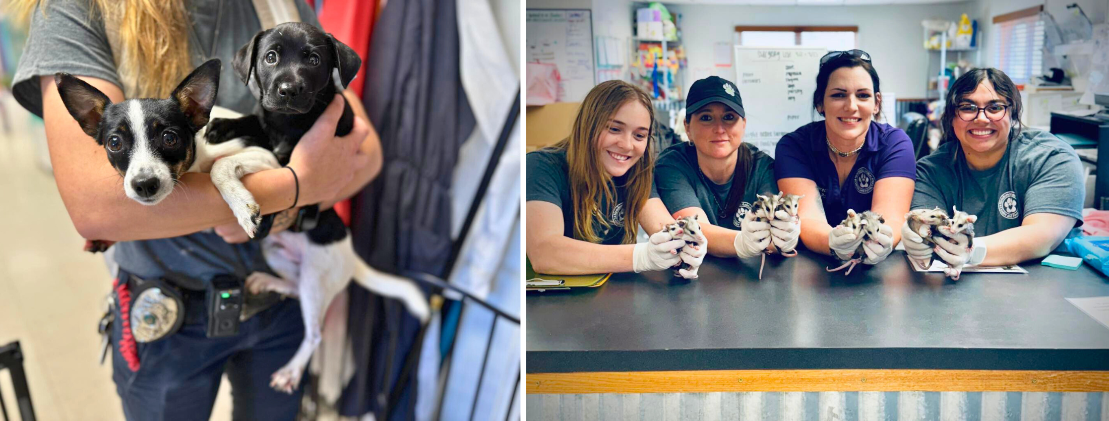 Your paragraph text (4)