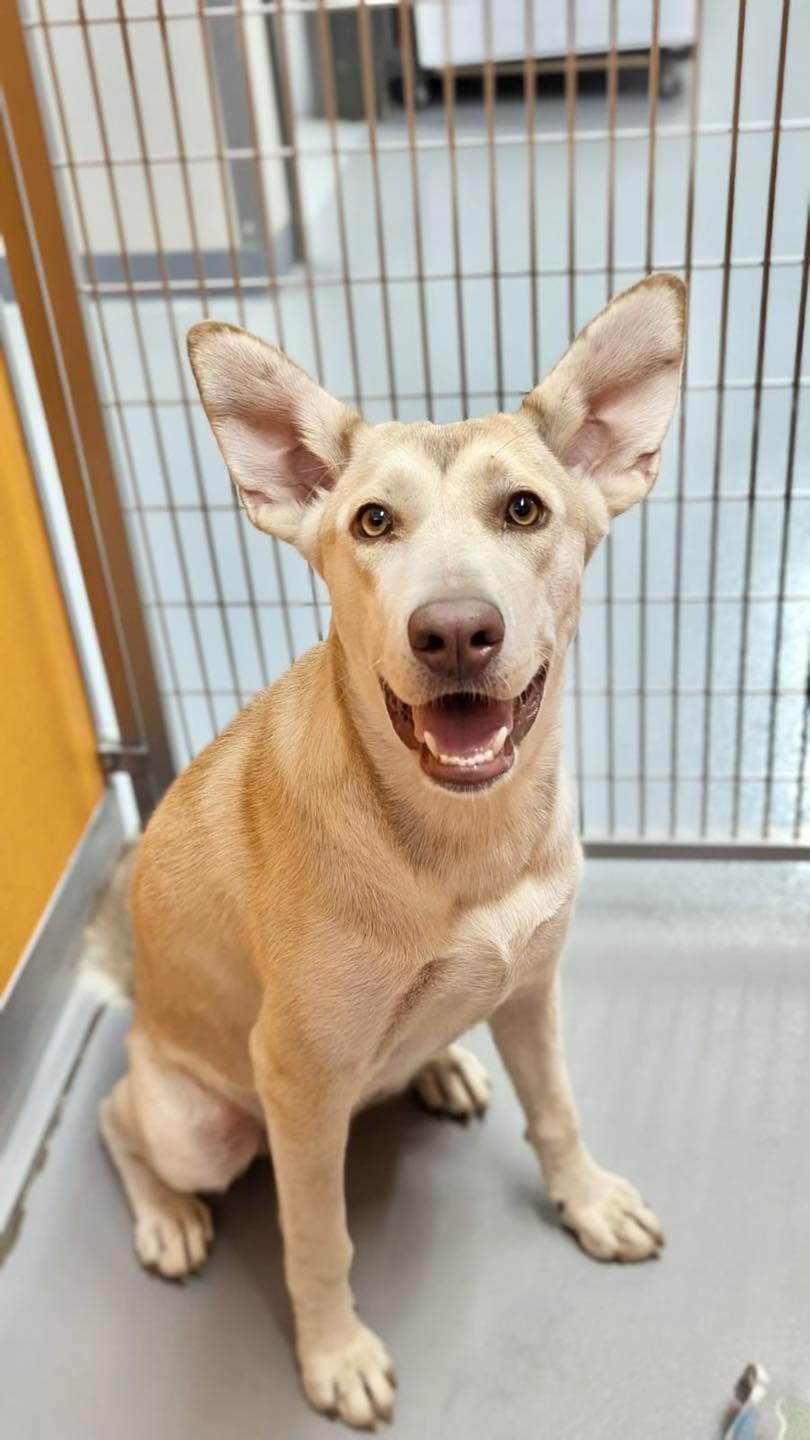 485624414_1062363129266966_773365797915337587_n